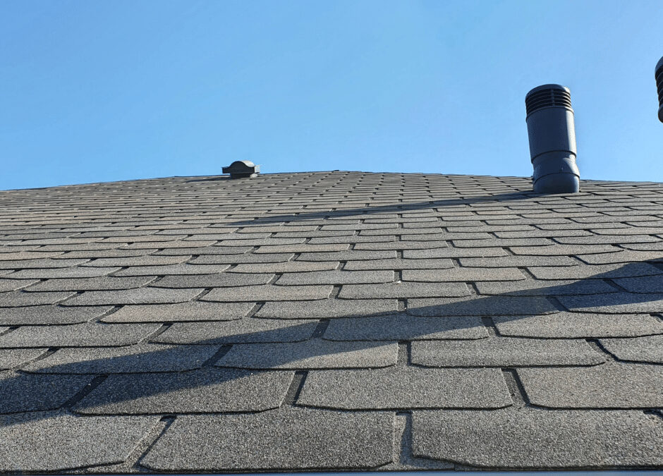 What’s the Best Roofing Material for Me?