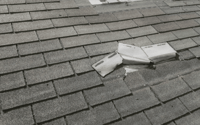 Storm Damage and Your Roof: What to Do Next